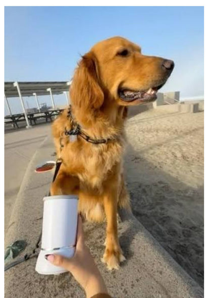 limpiador automático de patas de perro/gato